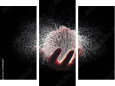 Dreiteiliges Leinwandbild - Triptychon