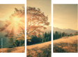 Dreiteiliges Leinwandbild - Triptychon