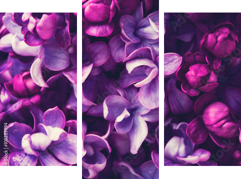 Lilac flowers background - Dreiteiliges Leinwandbild, Triptychon