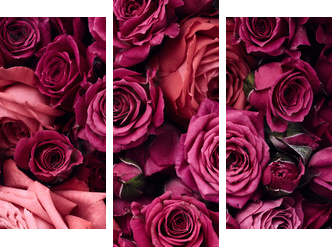 Roses background - Dreiteiliges Leinwandbild, Triptychon