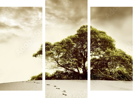 desert - Dreiteiliges Leinwandbild, Triptychon
