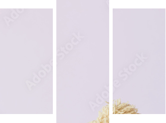 teddy bear - Dreiteiliges Leinwandbild, Triptychon