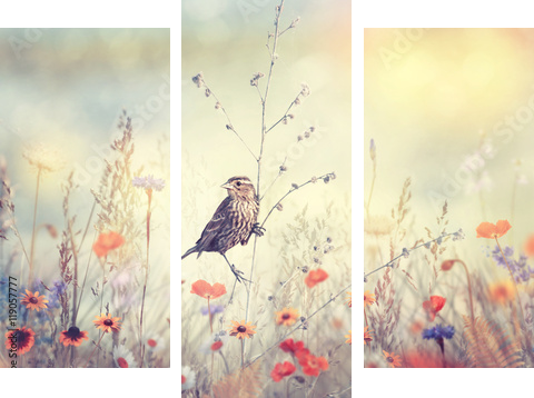Field with wild flowers and a bird - Dreiteiliges Leinwandbild, Triptychon