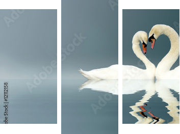 Love Swans - Dreiteiliges Leinwandbild, Triptychon