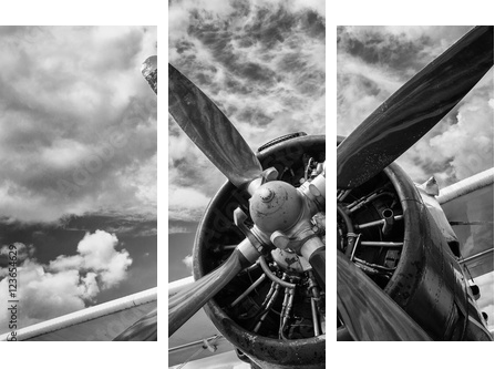 Close up of old airplane in black and white - Dreiteiliges Leinwandbild, Triptychon