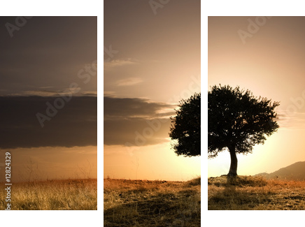 Samotne drzewo i zachód słońca
 - Dreiteiliges Leinwandbild, Triptychon