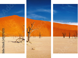 Namib Desert, Sossusvlei, Namibia - Dreiteiliges Leinwandbild, Triptychon