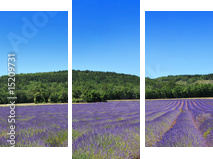 Panorama de provence - Dreiteiliges Leinwandbild, Triptychon