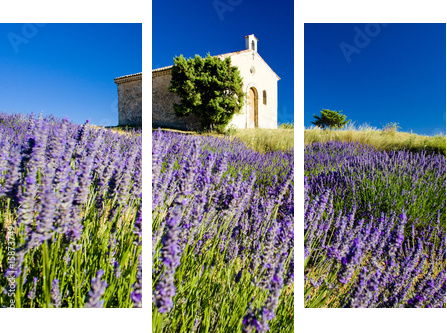 chapel, Plateau de Valensole, Provence, France - Dreiteiliges Leinwandbild, Triptychon