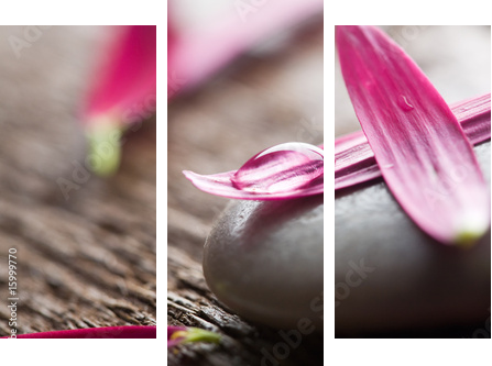 Flower petals - Dreiteiliges Leinwandbild, Triptychon