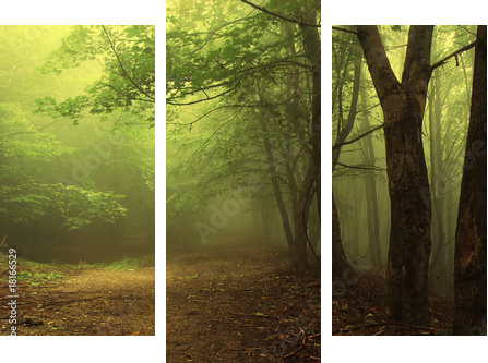 Green forest with fog - Dreiteiliges Leinwandbild, Triptychon