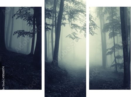 Forest - Dreiteiliges Leinwandbild, Triptychon