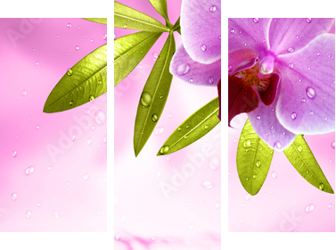 Wellness Motiv mit Orchidee - Dreiteiliges Leinwandbild, Triptychon