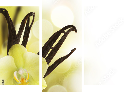 Beautiful Vanilla beans and flower over blurred background - Dreiteiliges Leinwandbild, Triptychon