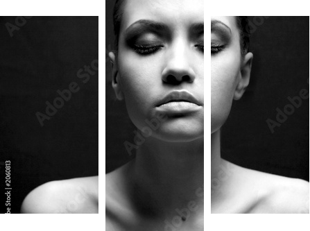 portrait of beauty sexy fashion girl - Dreiteiliges Leinwandbild, Triptychon