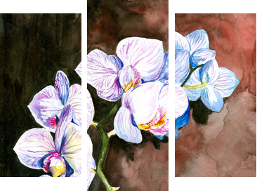 Orchidea malowana akwarelą - Dreiteiliges Leinwandbild, Triptychon