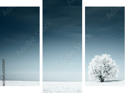 Tree - Dreiteiliges Leinwandbild, Triptychon