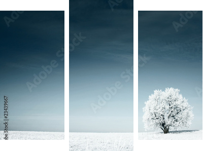 Zimowa łąka otulona białym puchem - Dreiteiliges Leinwandbild, Triptychon