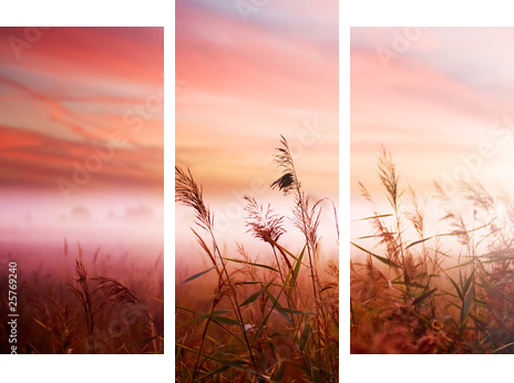 Foggy LandscapeEarly Morning Mist - Dreiteiliges Leinwandbild, Triptychon