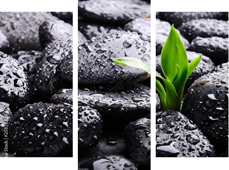 Spa concept - Dreiteiliges Leinwandbild, Triptychon