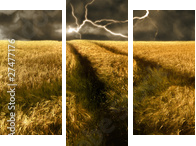 thunderstorm over a golden  barley field - Dreiteiliges Leinwandbild, Triptychon
