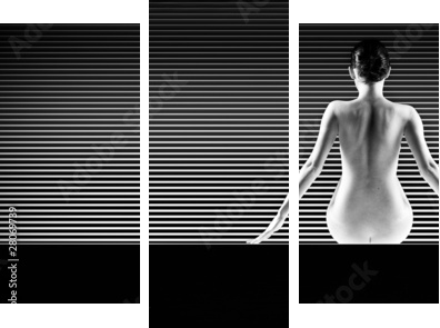 black and white artistic nude; a back silhouette shot on striped - Dreiteiliges Leinwandbild, Triptychon