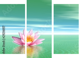 Lily flower in green ocean - Dreiteiliges Leinwandbild, Triptychon