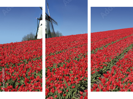 Esencja Holandii – wiatrak i tulipany
 - Dreiteiliges Leinwandbild, Triptychon