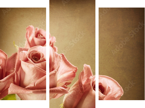 Beautiful Pink Roses Vintage Styled Sepia toned - Dreiteiliges Leinwandbild, Triptychon