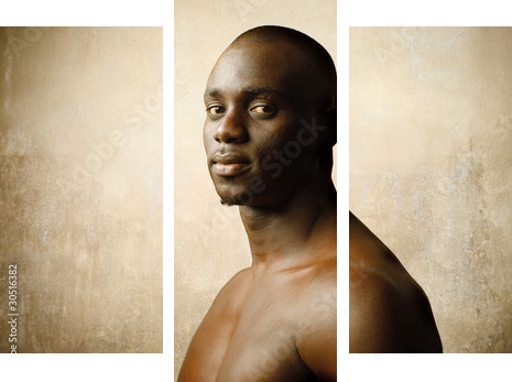 African beauty - Dreiteiliges Leinwandbild, Triptychon
