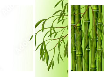 ÐÐ°Ð¼Ð±ÑÐºÐ¾Ð²Ð°Ñ ÑÐ¾ÑÐ°, ÑÐ¾Ð½ Ð¸Ð· ÑÑÐµÐ±Ð»ÐµÐ¹ Ð±Ð°Ð¼Ð±ÑÐºÐ° - Dreiteiliges Leinwandbild, Triptychon