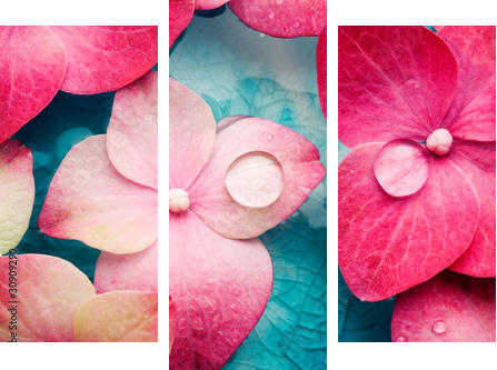 Wellness - Dreiteiliges Leinwandbild, Triptychon