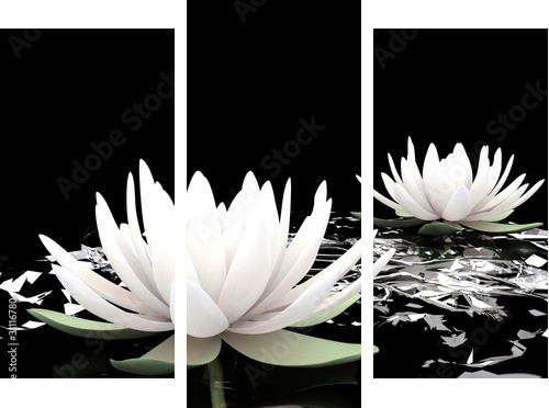 3d lotus on water - Dreiteiliges Leinwandbild, Triptychon