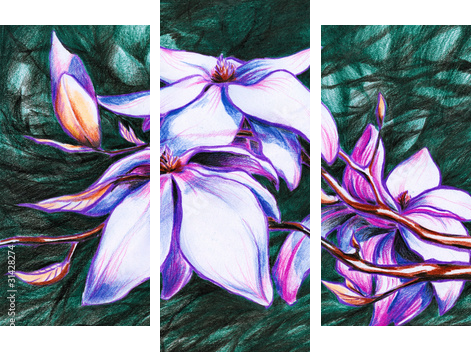 Magnolia koloru pastelowego - Dreiteiliges Leinwandbild, Triptychon