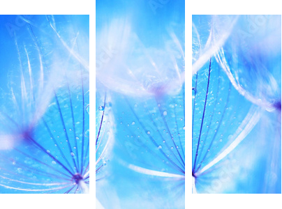 Soft dandelion flowers - Dreiteiliges Leinwandbild, Triptychon