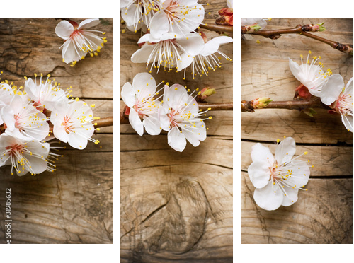 Wood background with spring blossom - Dreiteiliges Leinwandbild, Triptychon