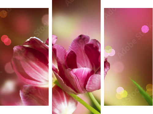 Flowers Anniversary Card Design - Dreiteiliges Leinwandbild, Triptychon