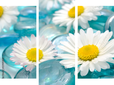 Daisy Flowers on Blue Glass Stones - Dreiteiliges Leinwandbild, Triptychon