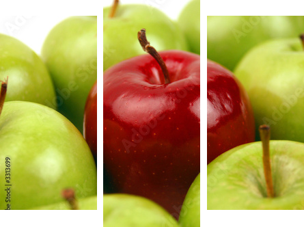 standing out - Dreiteiliges Leinwandbild, Triptychon