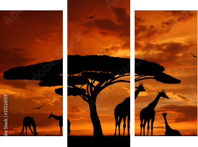 herd of giraffes in the setting sun - Dreiteiliges Leinwandbild, Triptychon