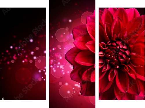 Dahlia Autumn flower design - Dreiteiliges Leinwandbild, Triptychon
