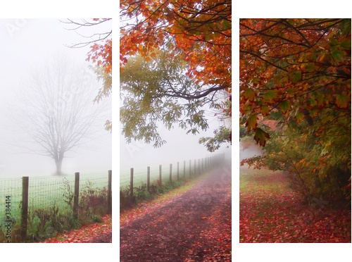 misty autumn morning - Dreiteiliges Leinwandbild, Triptychon