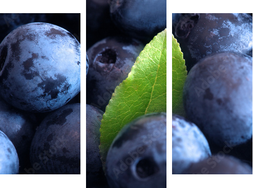 Macro shot of wet fresh blueberry - Dreiteiliges Leinwandbild, Triptychon