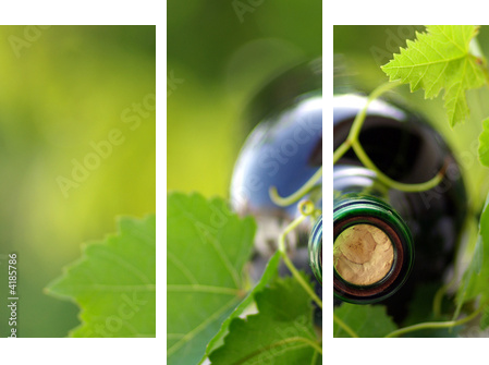 Bottle of wine between grapevine leves - Dreiteiliges Leinwandbild, Triptychon
