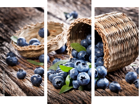 Blueberries have dropped from the basket - Dreiteiliges Leinwandbild, Triptychon