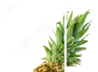 half pineapple - Dreiteiliges Leinwandbild, Triptychon