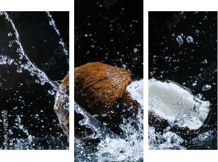 cracked coconut - Dreiteiliges Leinwandbild, Triptychon