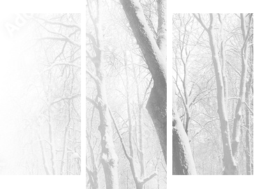 Red benches in the fog in winter - Dreiteiliges Leinwandbild, Triptychon