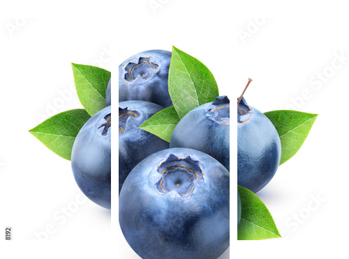 Fresh blueberries isolated on white - Dreiteiliges Leinwandbild, Triptychon