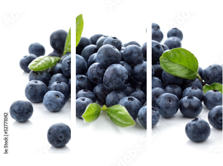 Blueberry - Dreiteiliges Leinwandbild, Triptychon